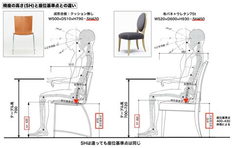 椅子標準尺寸|一般的な椅子のサイズは？椅子選びには座面の高さも。